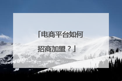 电商平台如何招商加盟?
