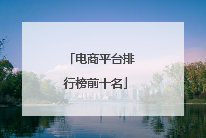 电商平台排行榜前十名