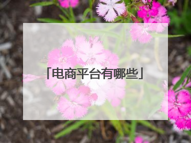 电商平台有哪些