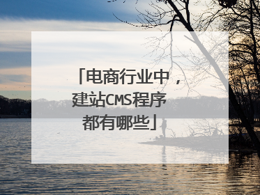 电商行业中,建站CMS程序都有哪些