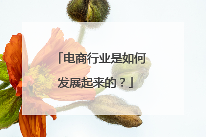 电商行业是如何发展起来的?
