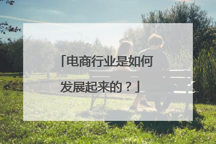 电商行业是如何发展起来的?