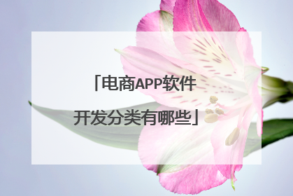 电商APP软件开发分类有哪些