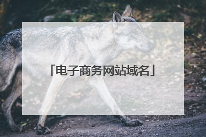 电子商务网站域名
