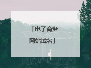电子商务网站域名
