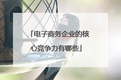 电子商务企业的核心竞争力有哪些