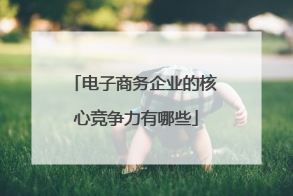 电子商务企业的核心竞争力有哪些