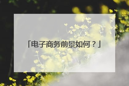电子商务前景如何?