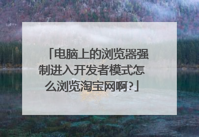 电脑上的浏览器强制进入开发者模式怎么浏览淘宝网啊?