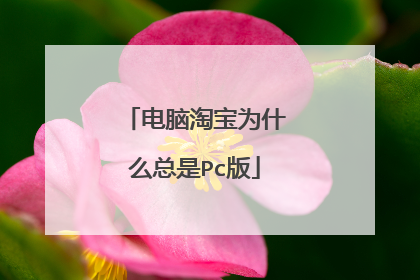 电脑淘宝为什么总是Pc版