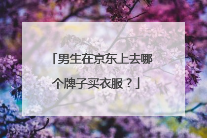 男生在京东上去哪个牌子买衣服?
