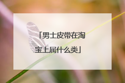男士皮带在淘宝上属什么类