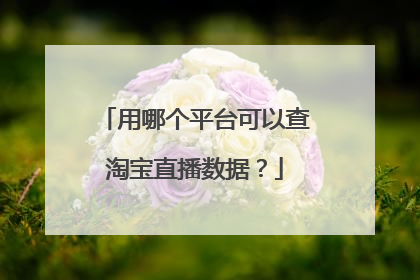 用哪个平台可以查淘宝直播数据?