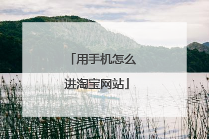 用手机怎么进淘宝网站