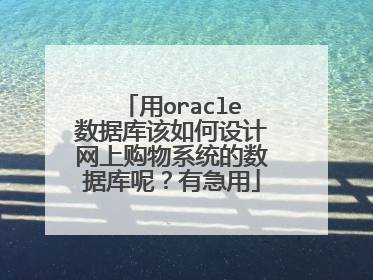 用oracle数据库该如何设计网上购物系统的数据库呢?有急用