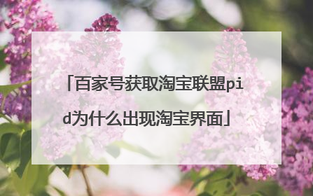 百家号获取淘宝联盟pid为什么出现淘宝界面