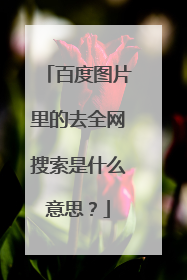百度图片里的去全网搜索是什么意思?