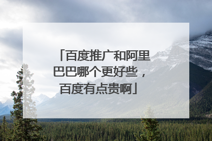 百度推广和阿里巴巴哪个更好些，百度有点贵啊