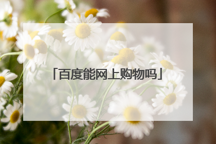 百度能网上购物吗