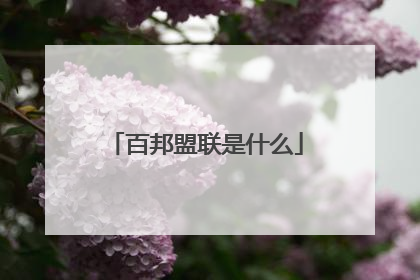 百邦盟联是什么