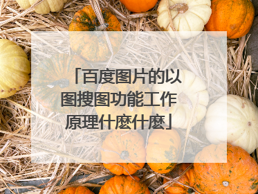 百度图片的以图搜图功能工作原理什麽什麽