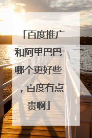 百度推广和阿里巴巴哪个更好些,百度有点贵啊