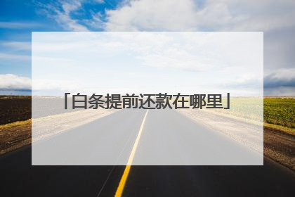 白条提前还款在哪里