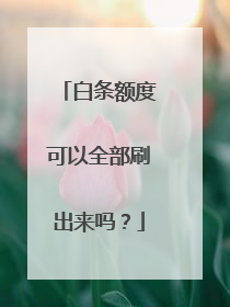 白条额度可以全部刷出来吗?