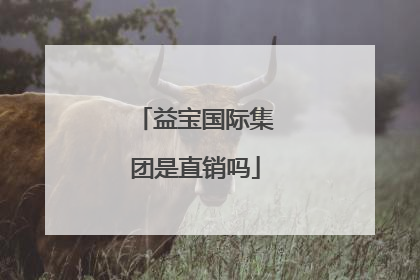 益宝国际集团是直销吗