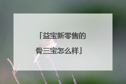 益宝新零售的骨三宝怎么样