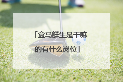 盒马鲜生是干嘛的有什么岗位