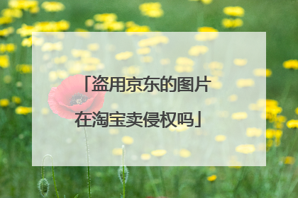 盗用京东的图片在淘宝卖侵权吗