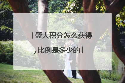 盛大积分怎么获得,比例是多少的