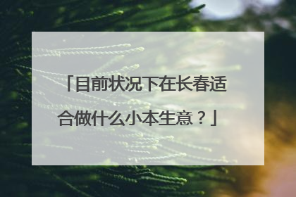 目前状况下在长春适合做什么小本生意?