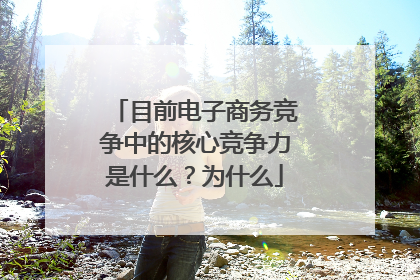 目前电子商务竞争中的核心竞争力是什么?为什么