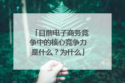 目前电子商务竞争中的核心竞争力是什么?为什么