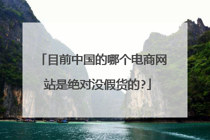 目前中国的哪个电商网站是绝对没假货的?