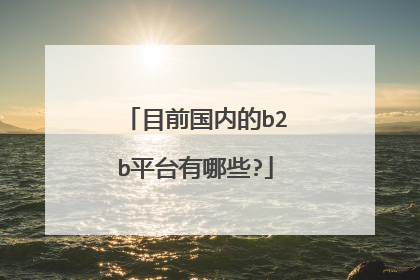 目前国内的b2b平台有哪些?