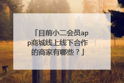 目前小二会员app商城线上线下合作的商家有哪些？