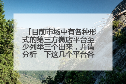 目前市场中有各种形式的第三方微店平台至少列举三个出来,并请分析一下这几个平台各自有什么特点?