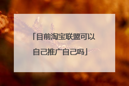 目前淘宝联盟可以自己推广自己吗