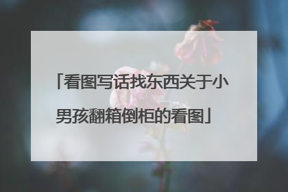 看图写话找东西关于小男孩翻箱倒柜的看图