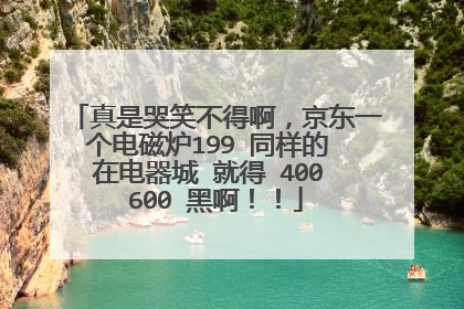 真是哭笑不得啊，京东一个电磁炉199 同样的 在电器城 就得 400 600 黑啊！！