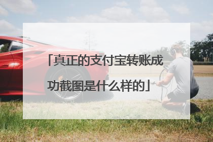 真正的支付宝转账成功截图是什么样的