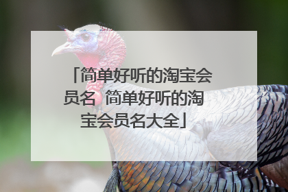 简单好听的淘宝会员名 简单好听的淘宝会员名大全