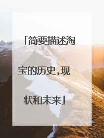 简要描述淘宝的历史,现状和未来