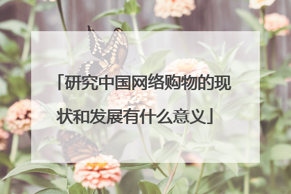 研究中国网络购物的现状和发展有什么意义