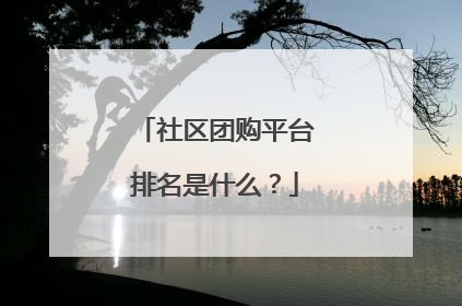 社区团购平台排名是什么?