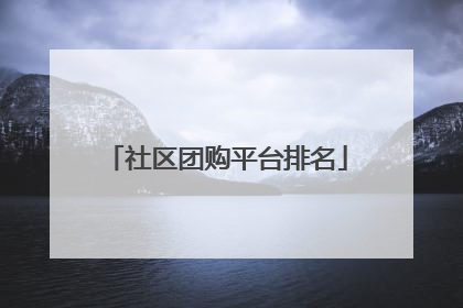 社区团购平台排名