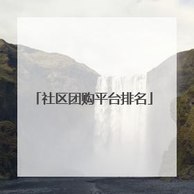 社区团购平台排名
